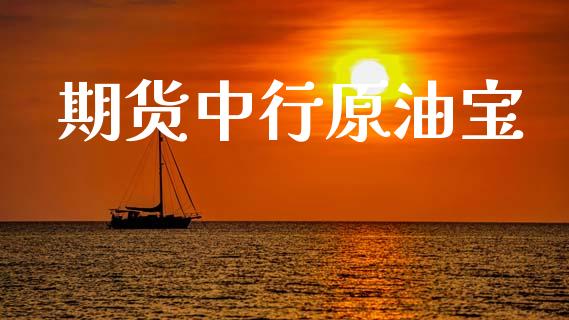 中行原油通(中行原油宝事件百度百科)