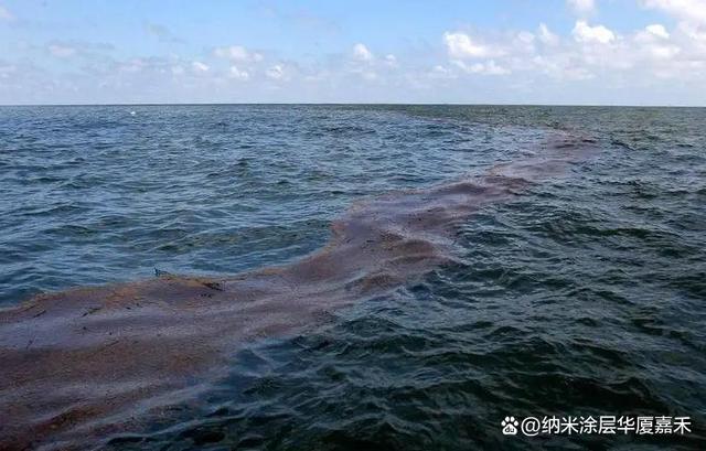 原油沙中(沙中原油评价)
